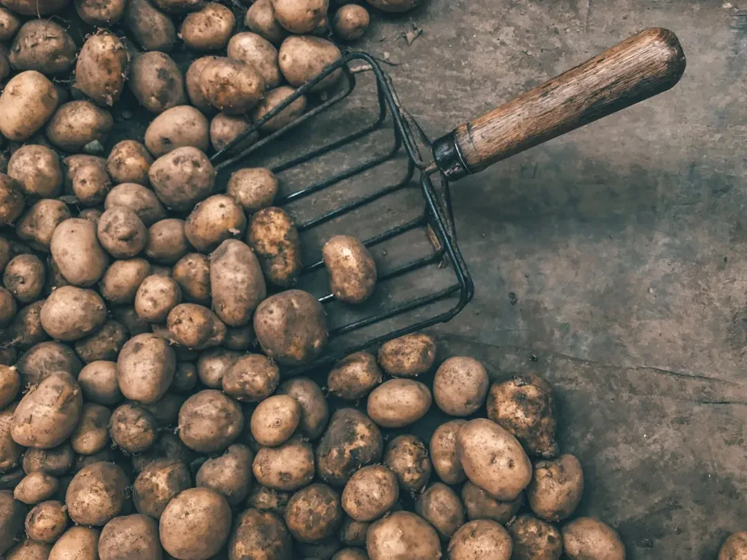 5. The Potato Masher (Image Credits: Unsplash)