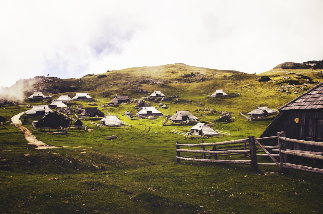 Community Transformation: Rural Revival or Tension? (image credits: unsplash)