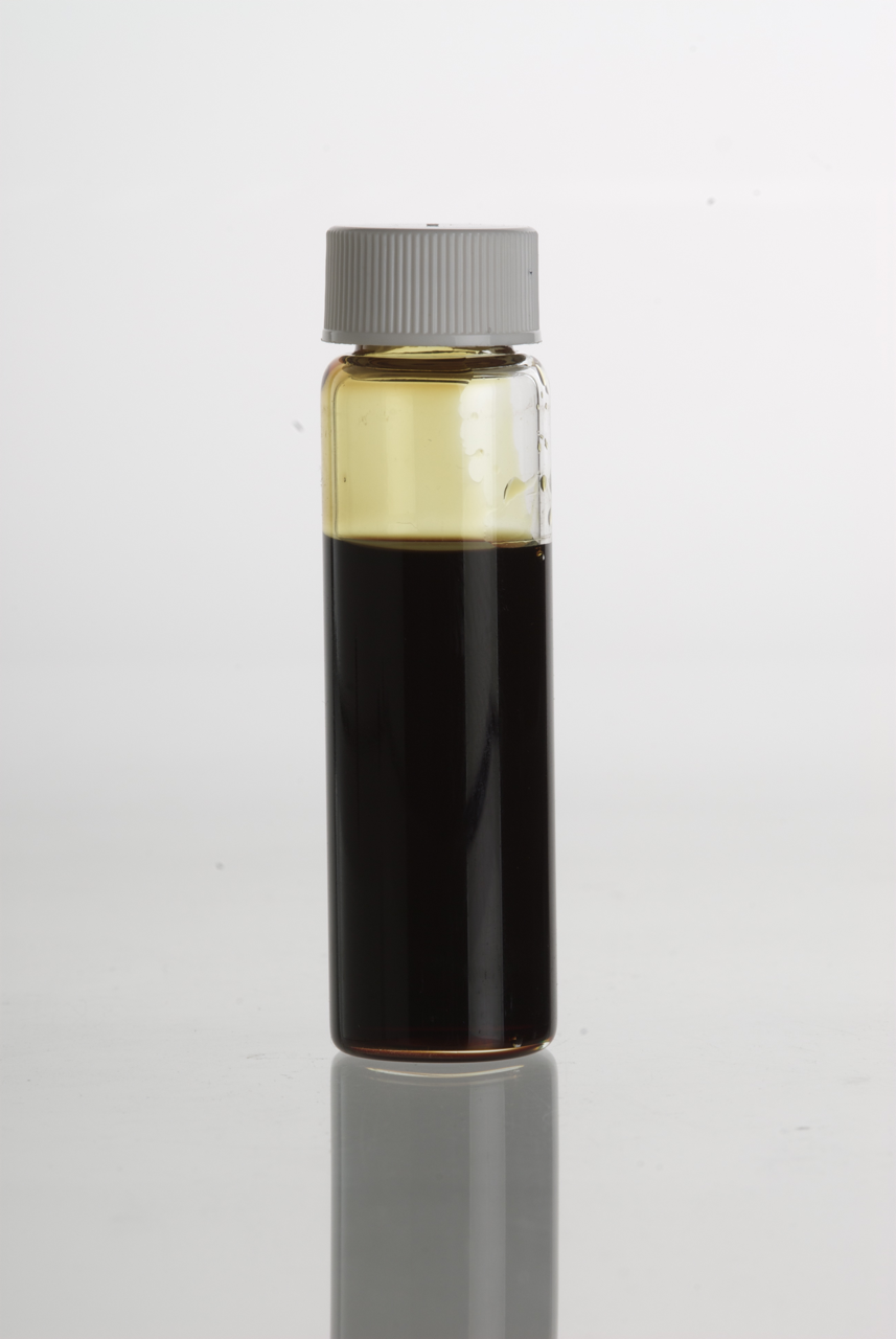 Pumpkin Seed Oil: The Nutty Elixir (image credits: wikimedia)