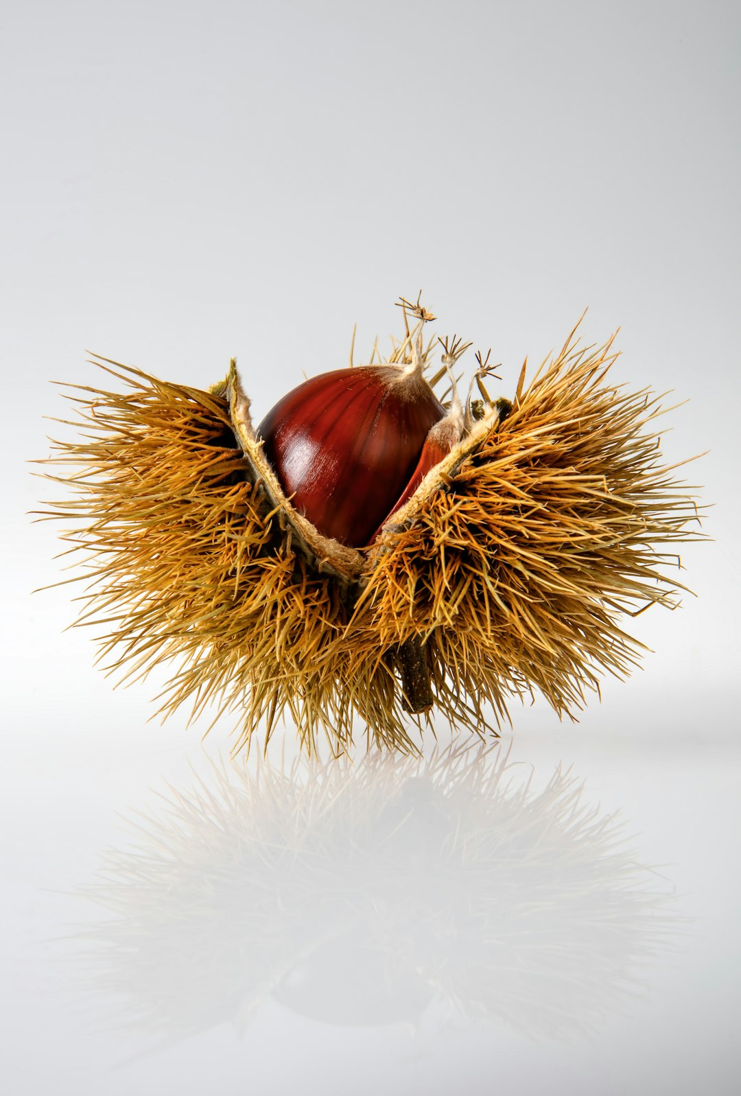 9. Chestnuts (image credits: unsplash)