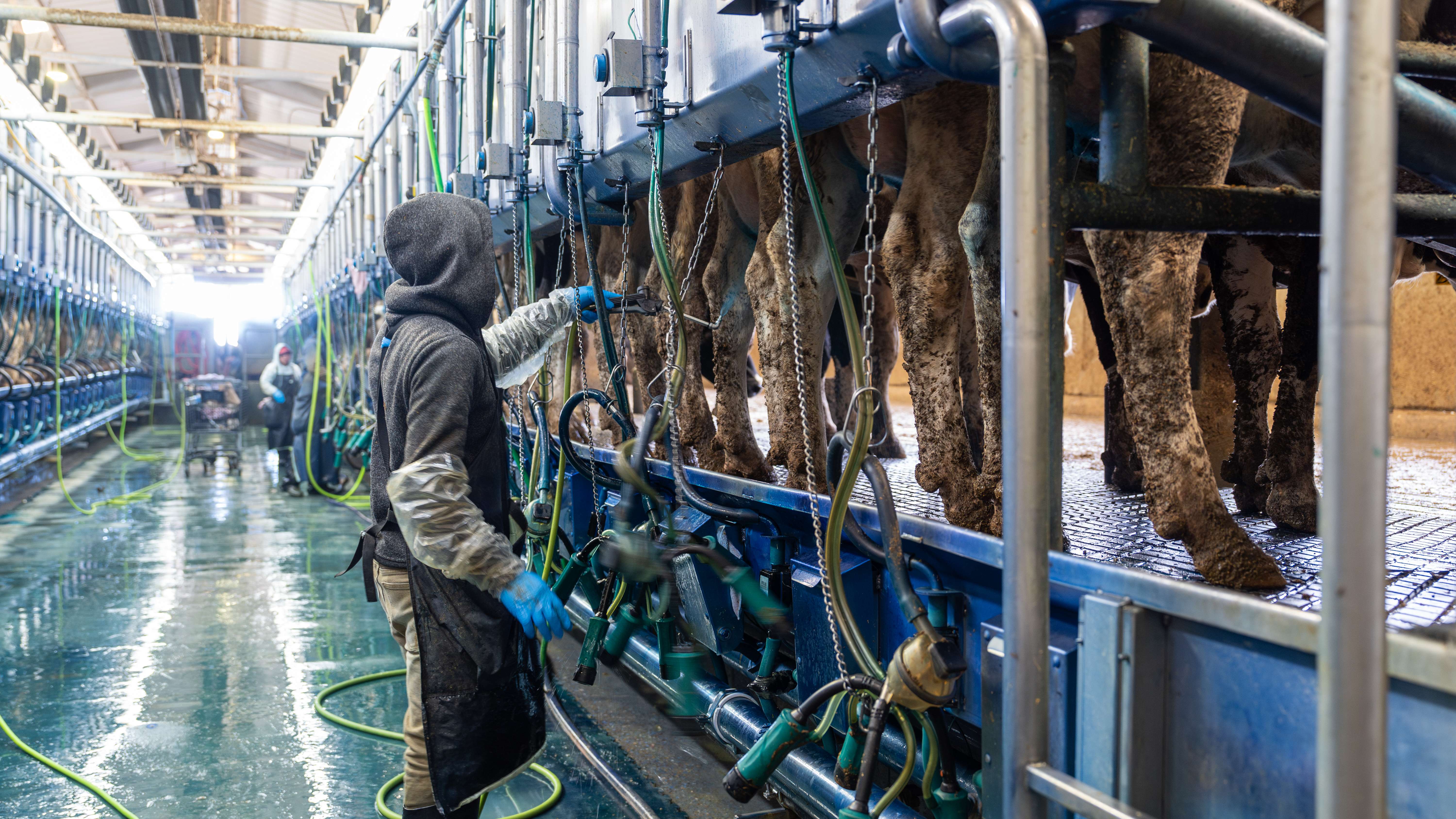 14. The Influence of Technology on Food Production (image credits: wikimedia)