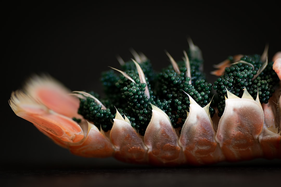 Shellfish and Certain Fish - Ocean Troublemakers (image credits: unsplash)