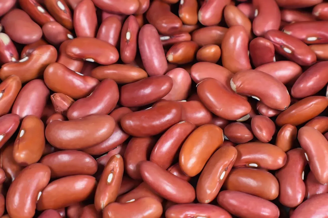 Add Fiber to Your Plate Alongside the Protein (Image Credits: Pixabay)