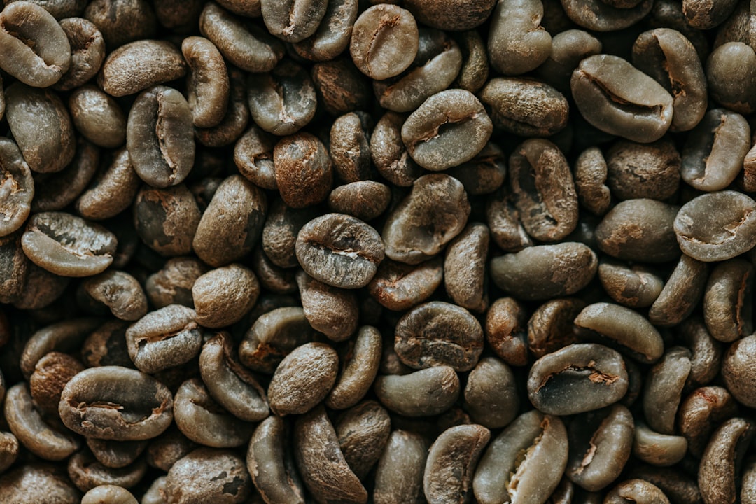Kola Nuts - The Caffeine Kick (image credits: unsplash)