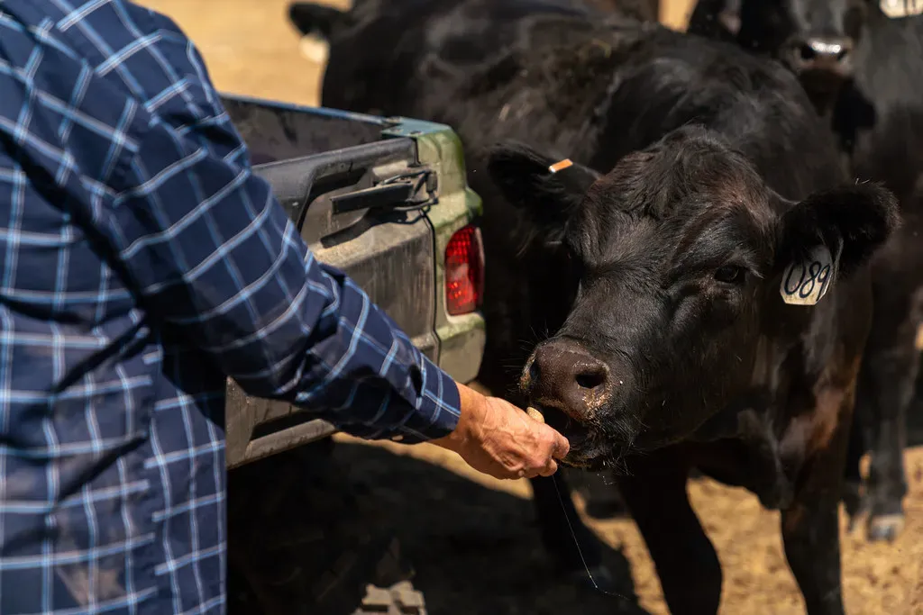 The Painful Summer of 2022 (Image Credits: Flickr)