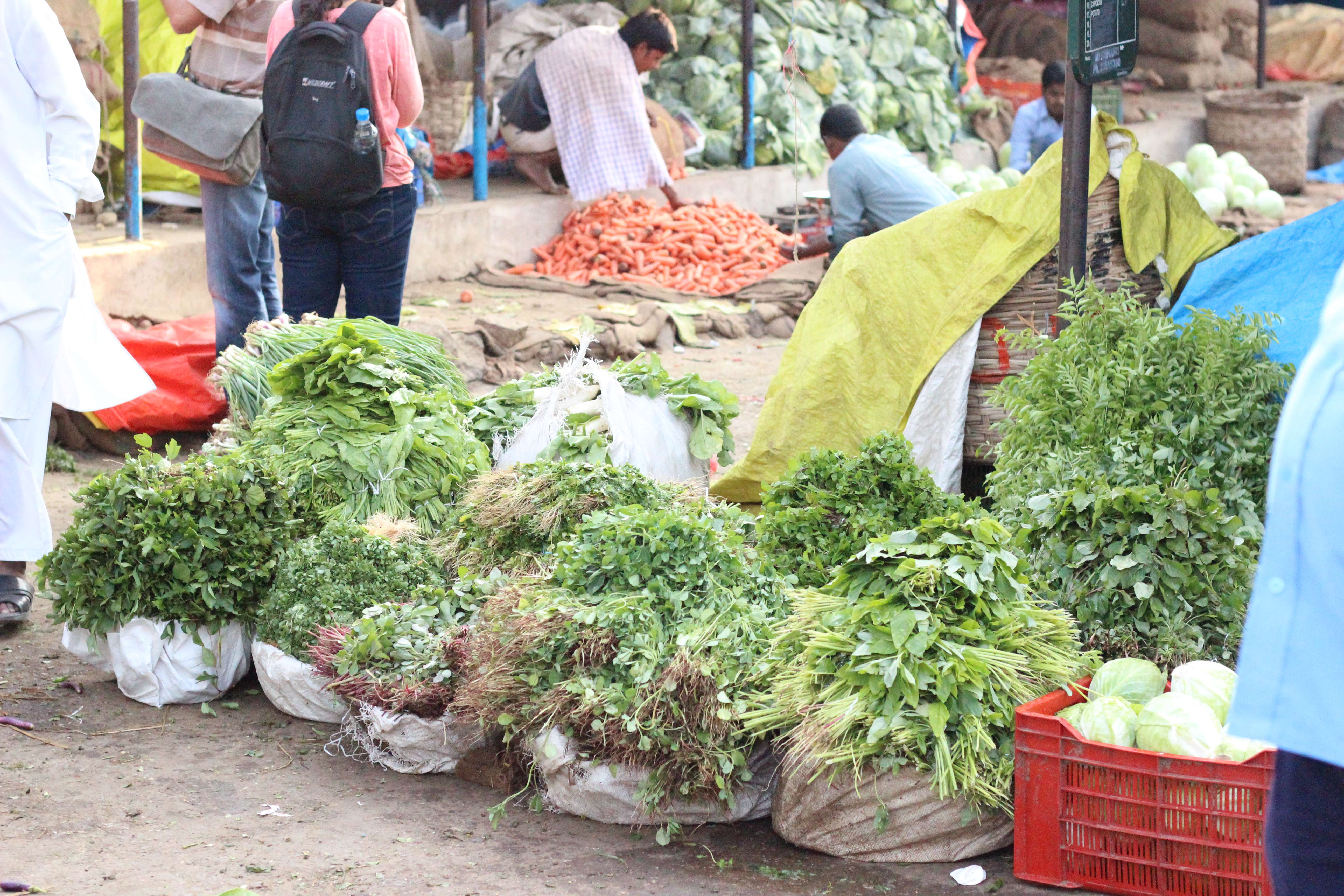 Leafy Greens (image credits: wikimedia)