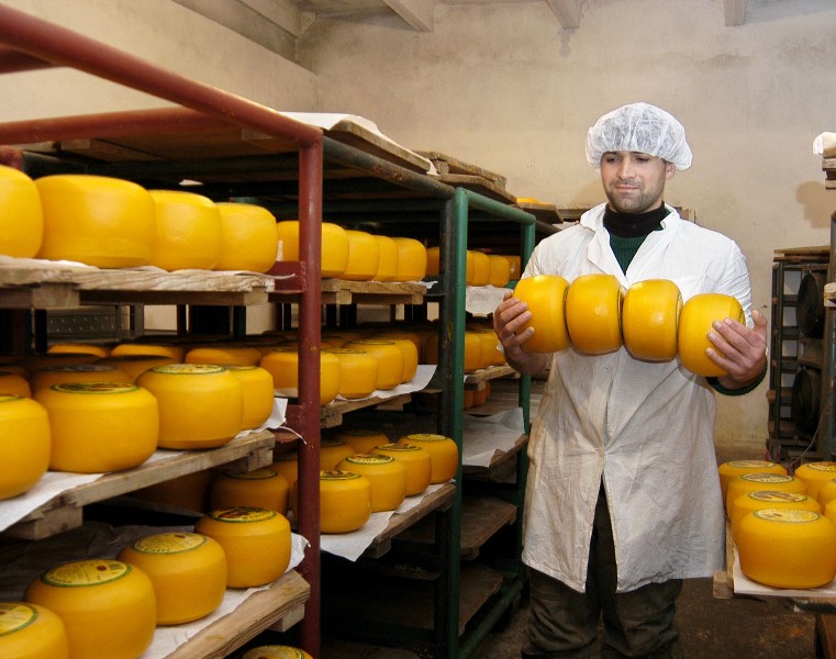 Cheese: The Unseen Casualty in the Dairy Aisle (image credits: wikimedia)