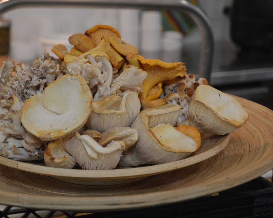 Cooked Mushrooms (image credits: unsplash)