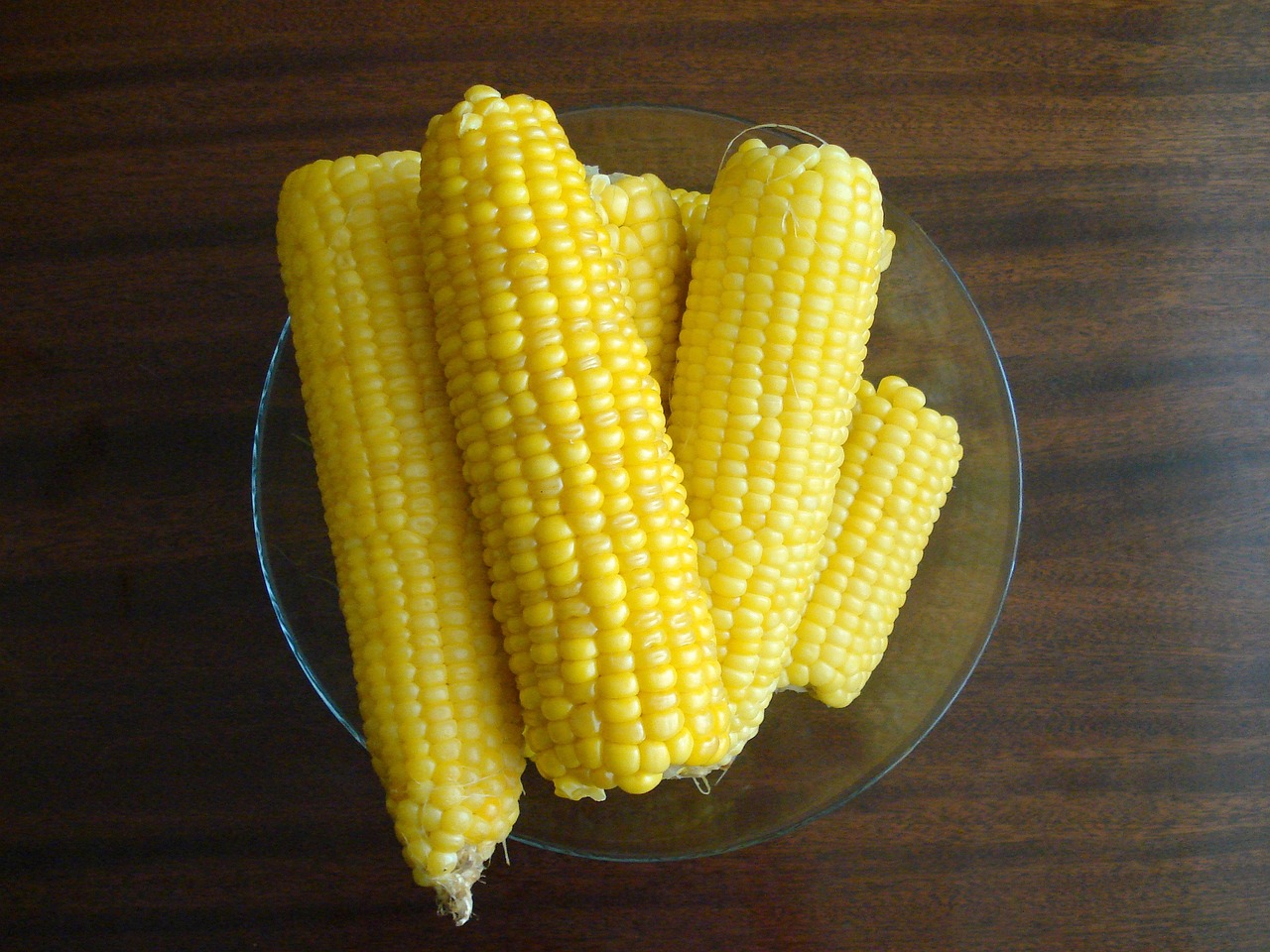 Sweet Corn: A Summer Staple (image credits: pixabay)