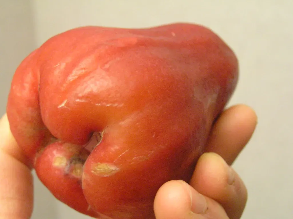 Test for Weight and Density (Image Credits: Flickr)