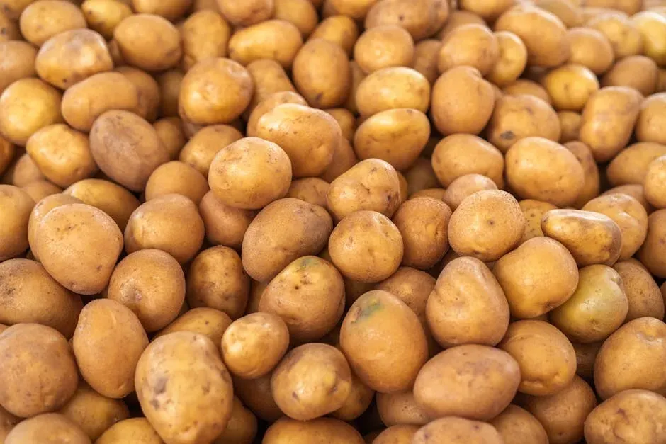 What Resistant Starch Actually Is (Image Credits: Pexels)