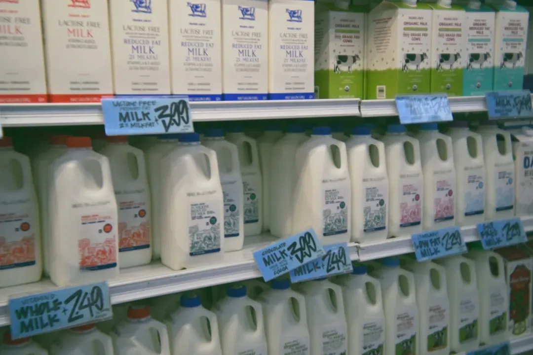 Dairy Freshness and the Real Risk of Expired Products (Image Credits: Unsplash)