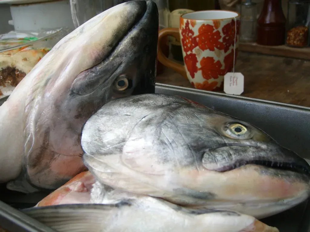 Food 2: Fatty Fish (Salmon, Mackerel, and Sardines) (benketaro, Flickr, CC BY 2.0)