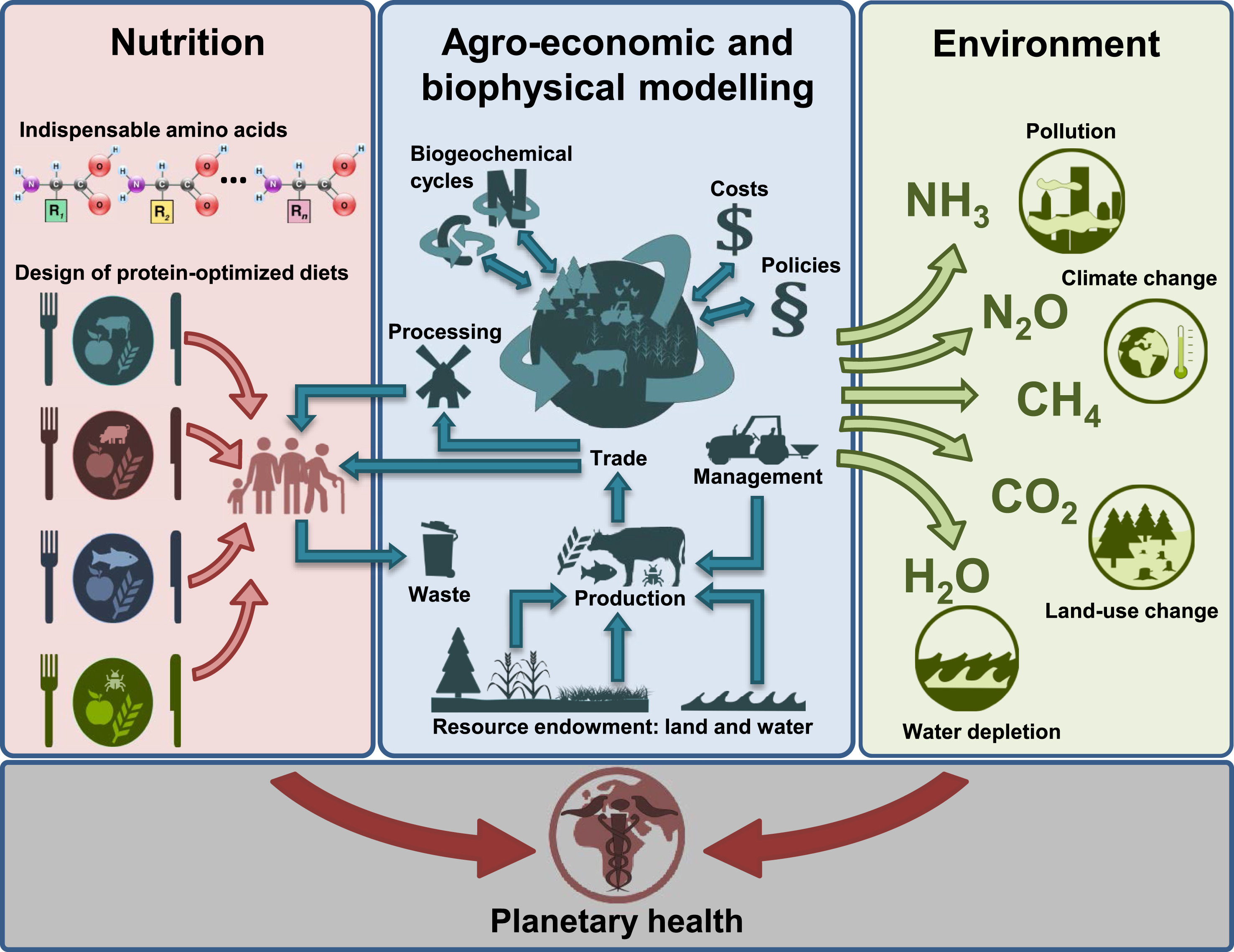 Finding Your Own Protein Sweet Spot (image credits: wikimedia)