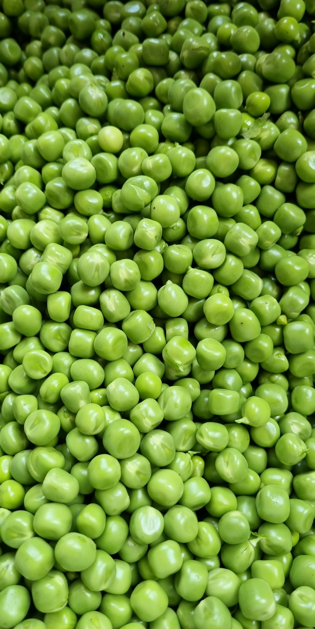 Green Beans Keep Their Fiber and Vitamin A (image credits: unsplash)