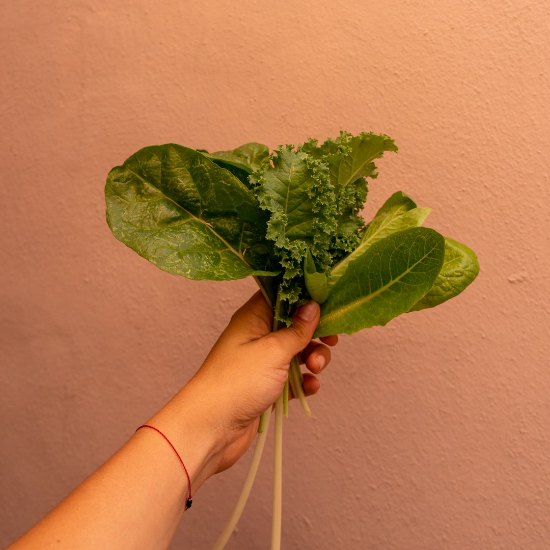 Dark Leafy Greens Pack a Cholesterol-Fighting Punch (image credits: unsplash)
