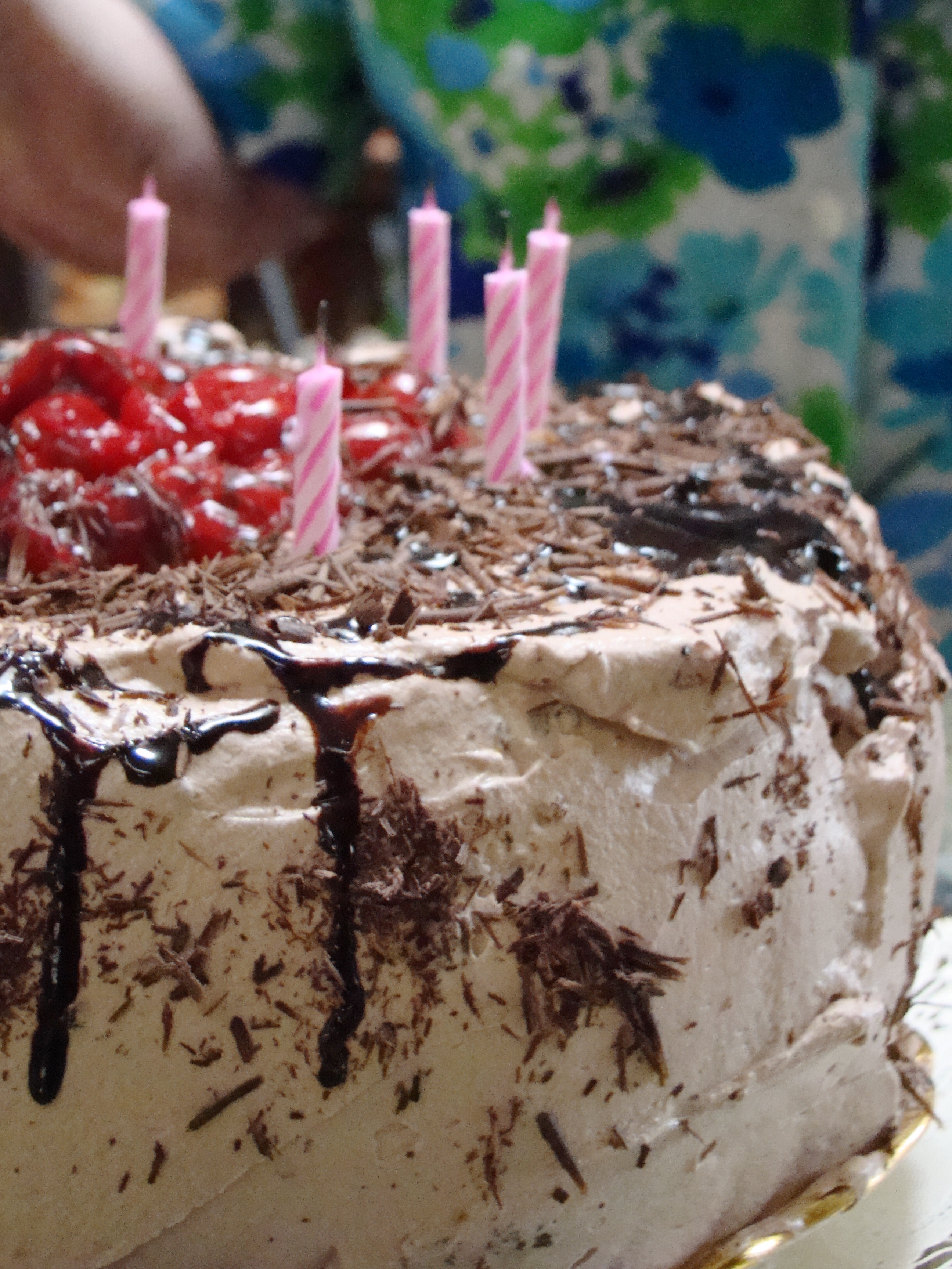 Vegan Chocolate Cake (image credits: wikimedia)