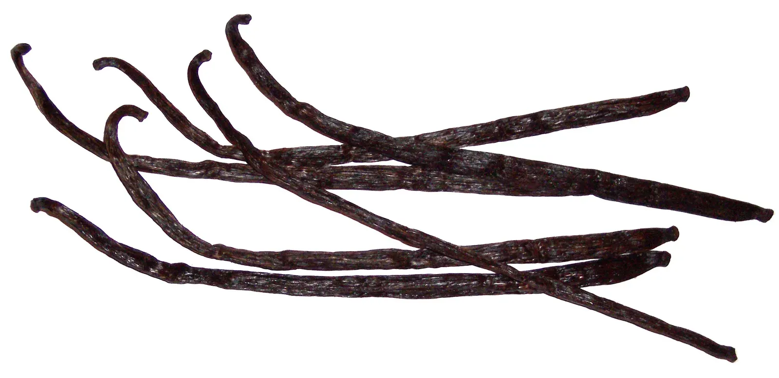Scraped Vanilla Bean Pods (Image Credits: Wikimedia)