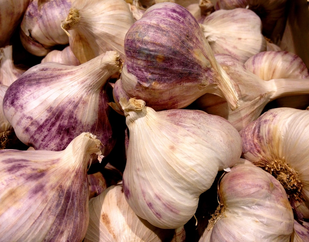 Garlic (image credits: rawpixel)