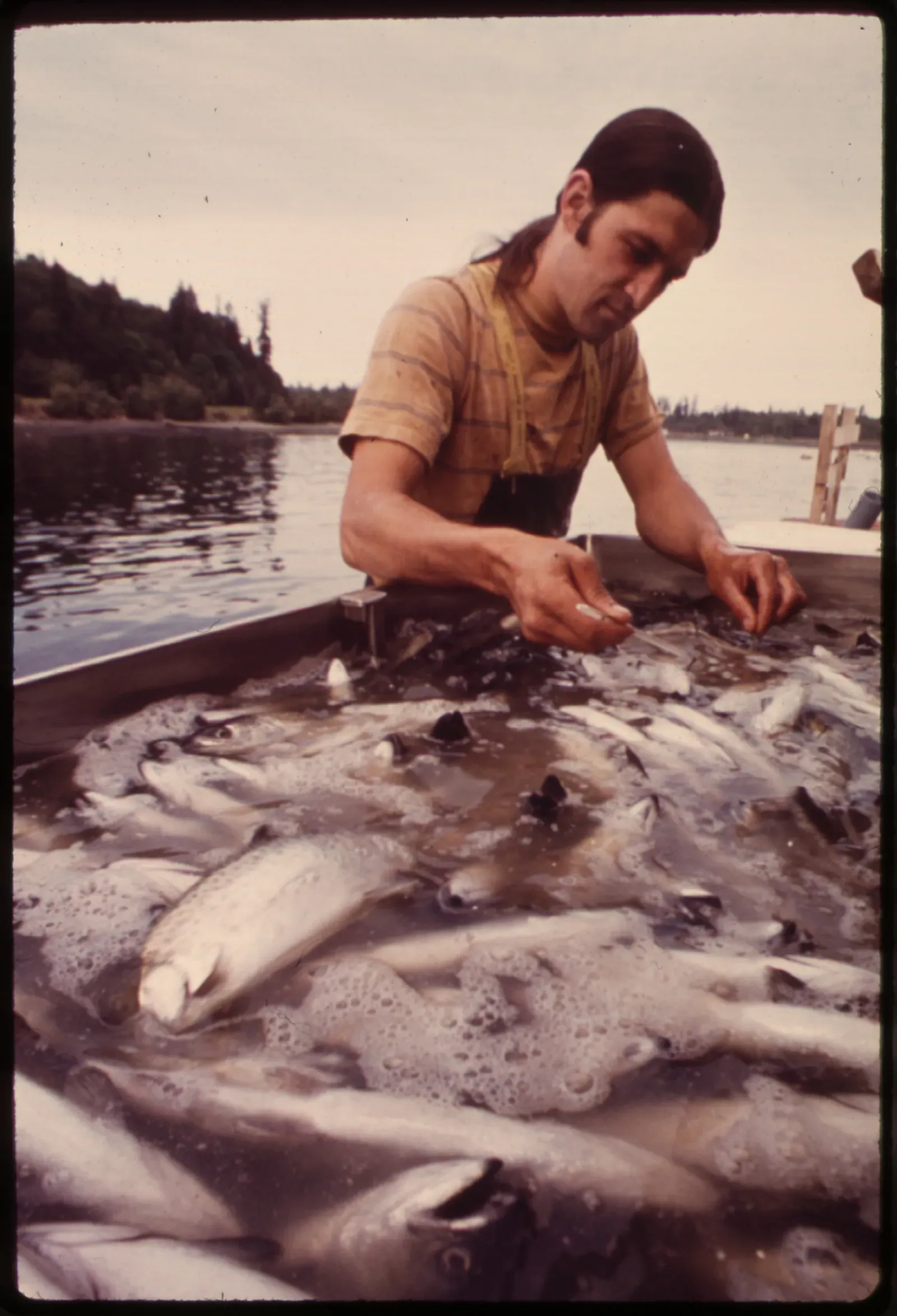 The Contamination Concerns Beyond Color (Image Credits: Wikimedia)