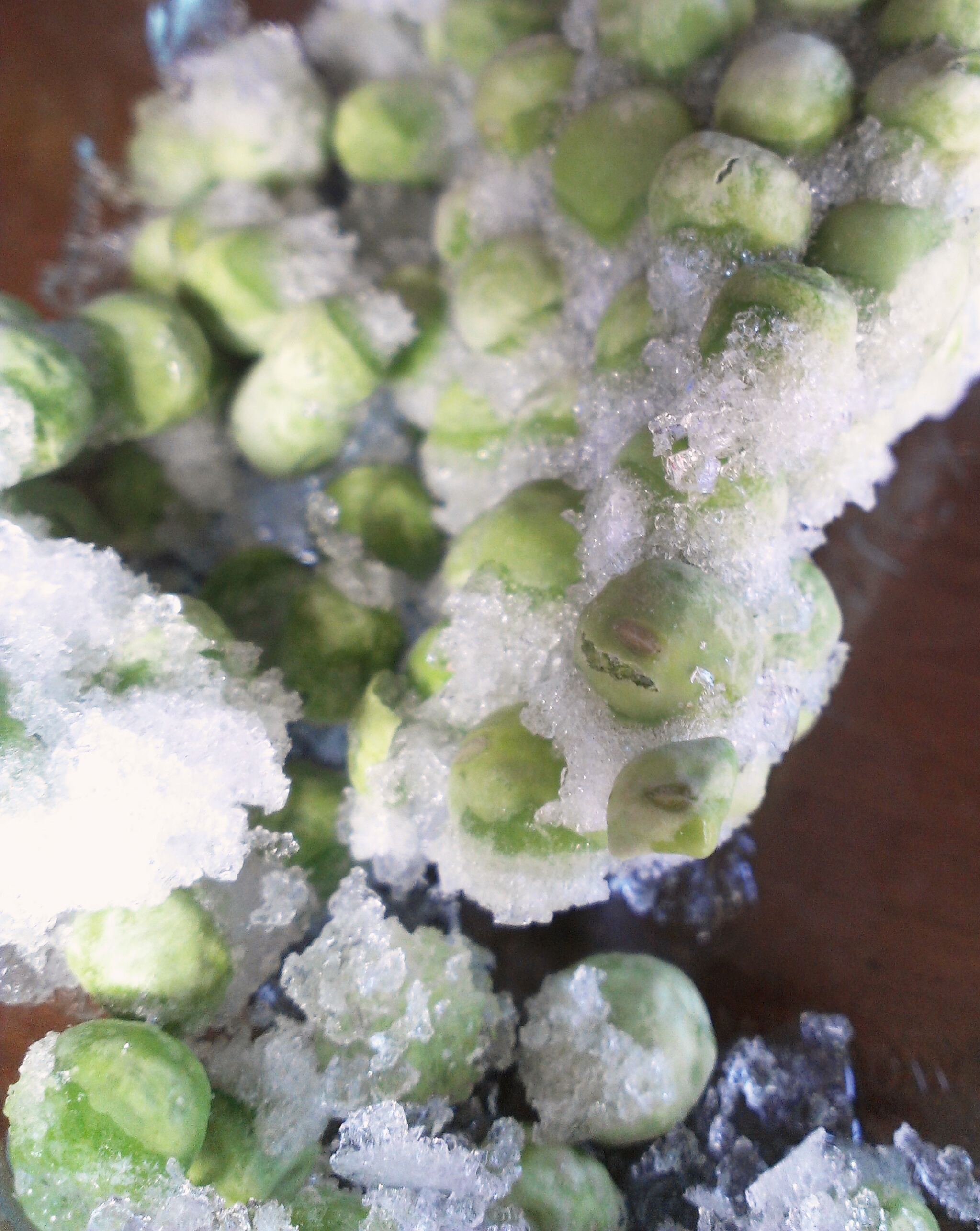 The Hidden Horror of Freezer Burn (image credits: wikimedia)