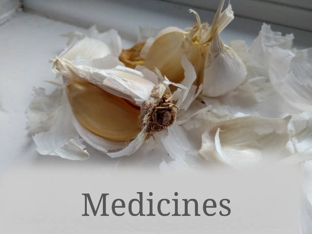 Medieval Medicine and Magical Properties (image credits: By Cesdeva, CC0, https://commons.wikimedia.org/w/index.php?curid=69659229)