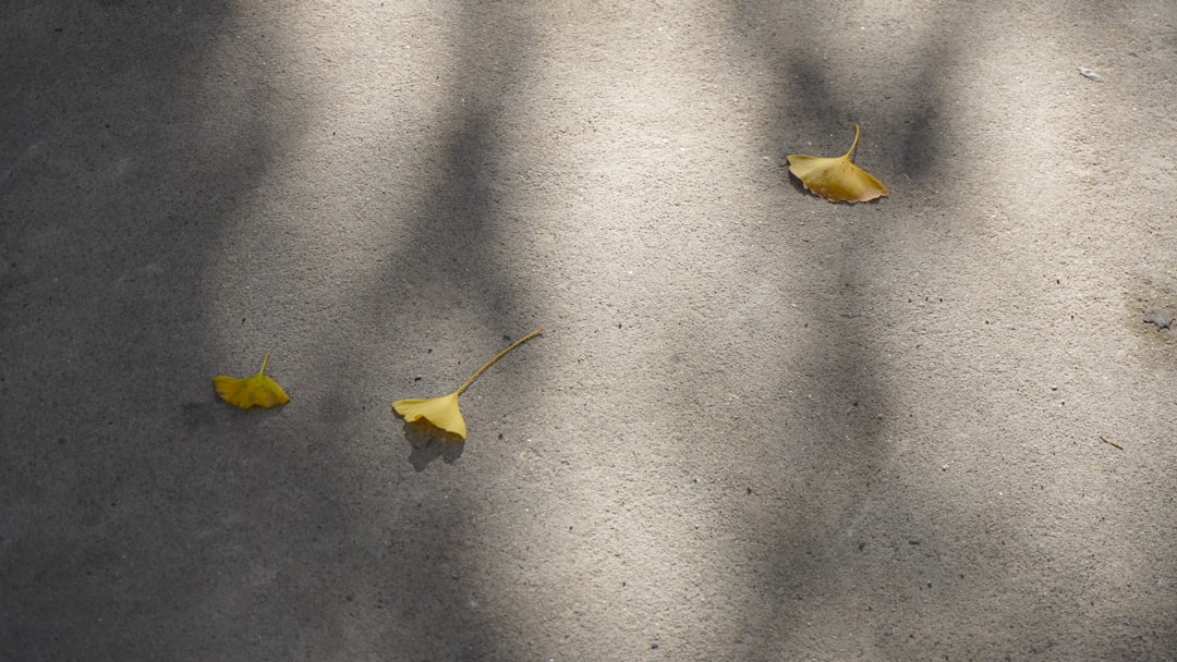 Black+Decker FusionBlade: The Cheap Steel Catastrophe (image credits: unsplash)