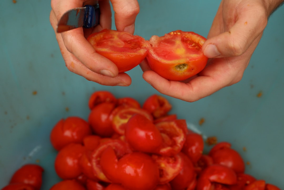Warning Signs That Your Canned Tomatoes Have Turned Toxic (image credits: unsplash)