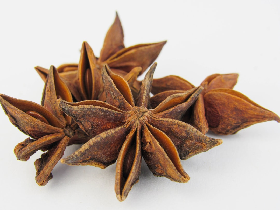 Star Anise: The Eight-Pointed Wonder from the East (image credits: unsplash)