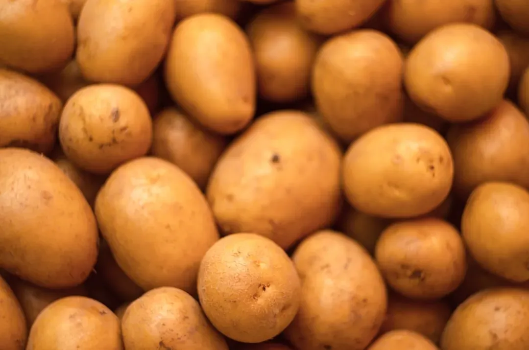 Potatoes (Image Credits: Unsplash)