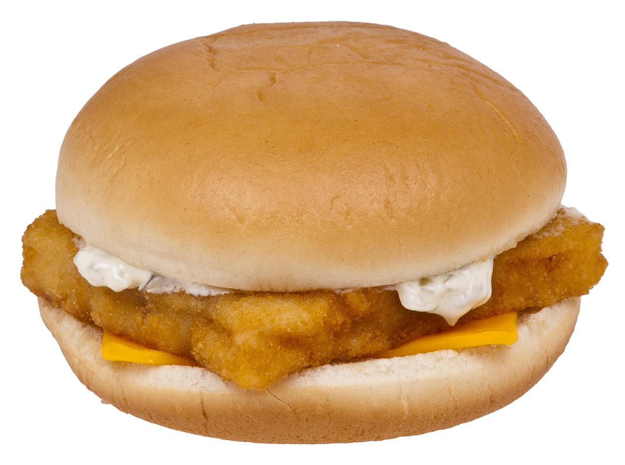 Introduction to the Filet-O-Fish Craze (image credits: pixabay)