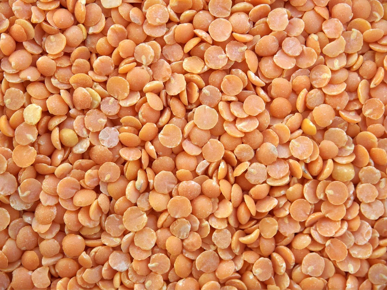 Lentils: The Budget Protein That Puts Meat to Shame (Image Credits: Pixabay)