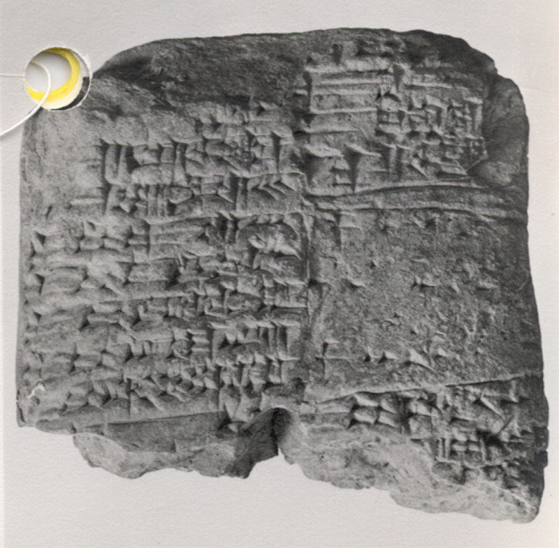 Babylonian Beer: The Brew of the Gods (image credits: wikimedia)