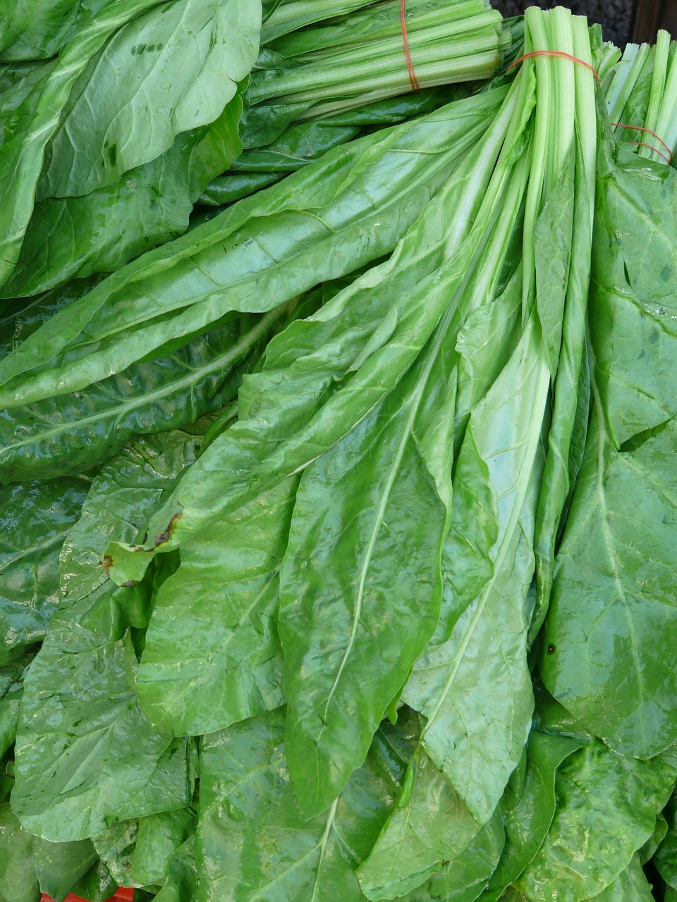 Spinach: Versatile Green for Total Wellness (image credits: pixabay)