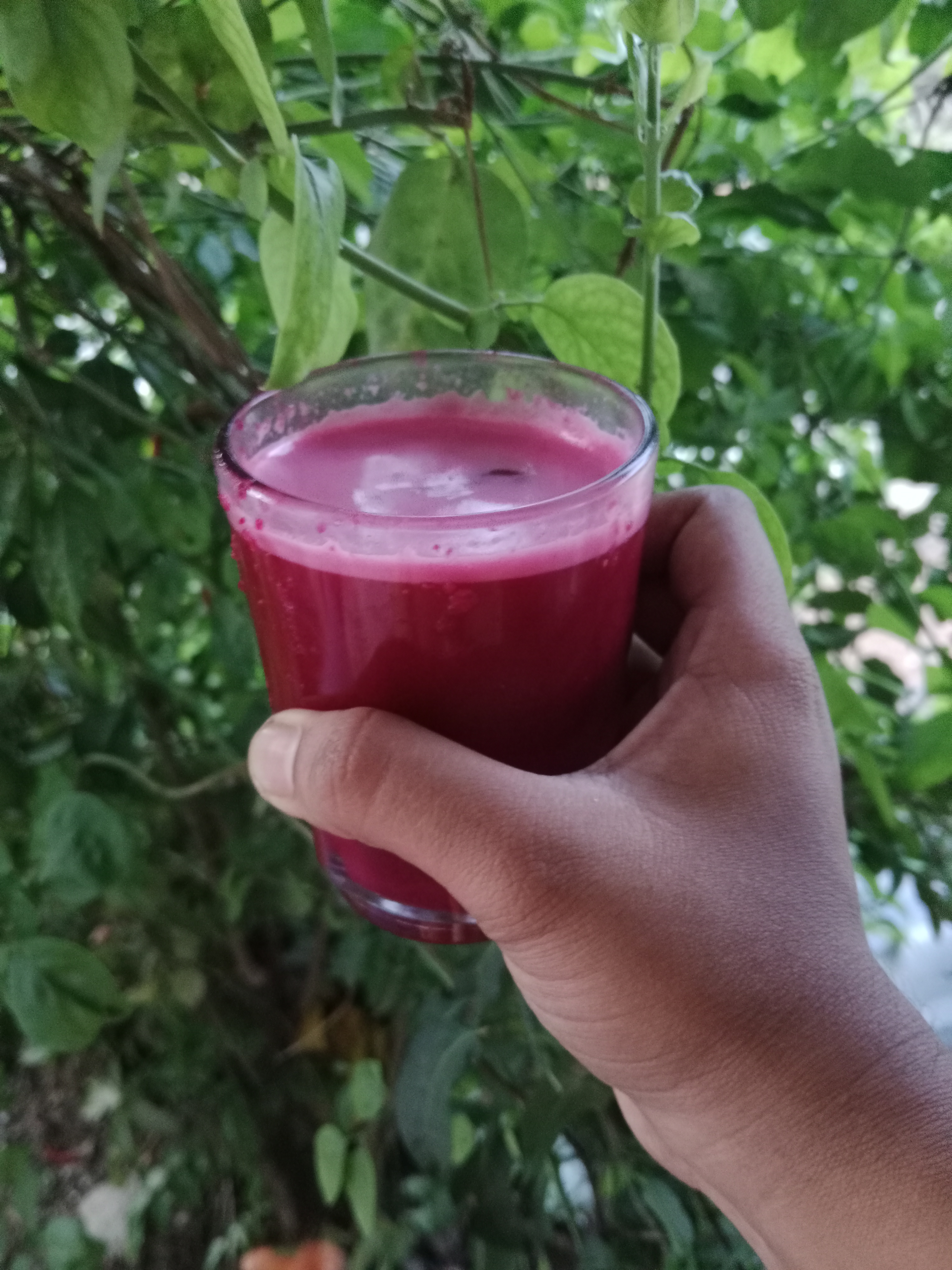 Beets: The Nitrate-Rich Root (image credits: wikimedia)