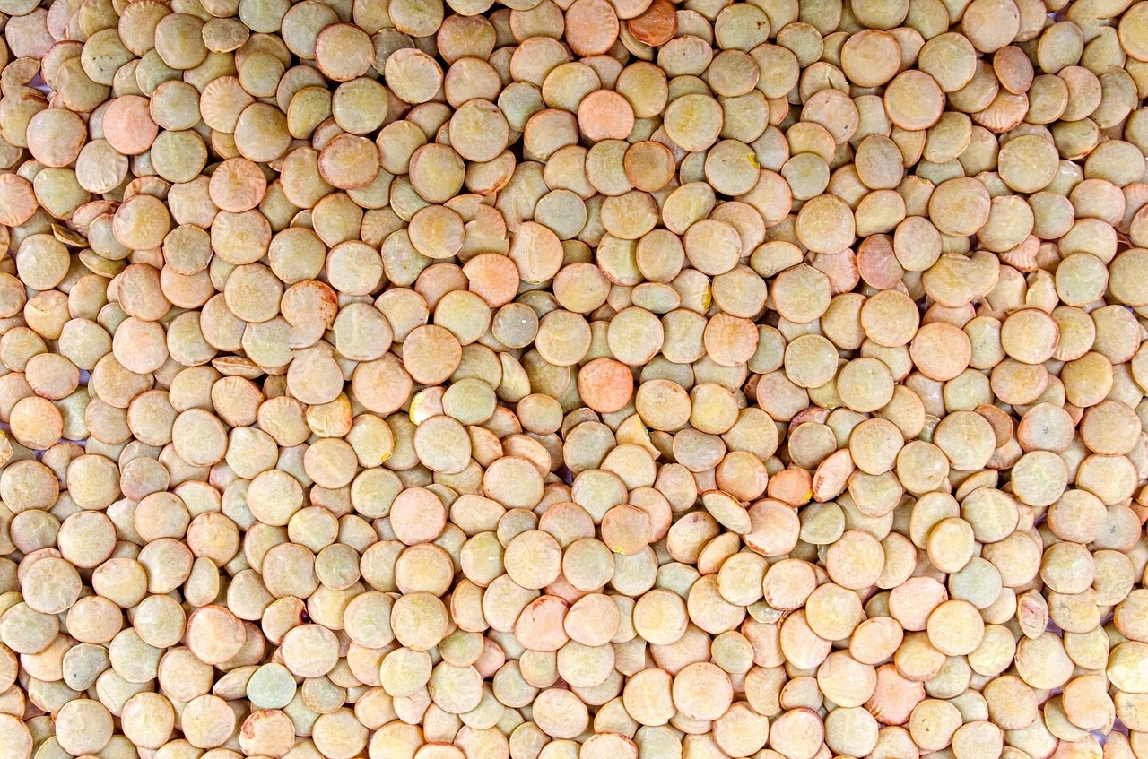 The Bean Magic Most People Ignore (image credits: pixabay)