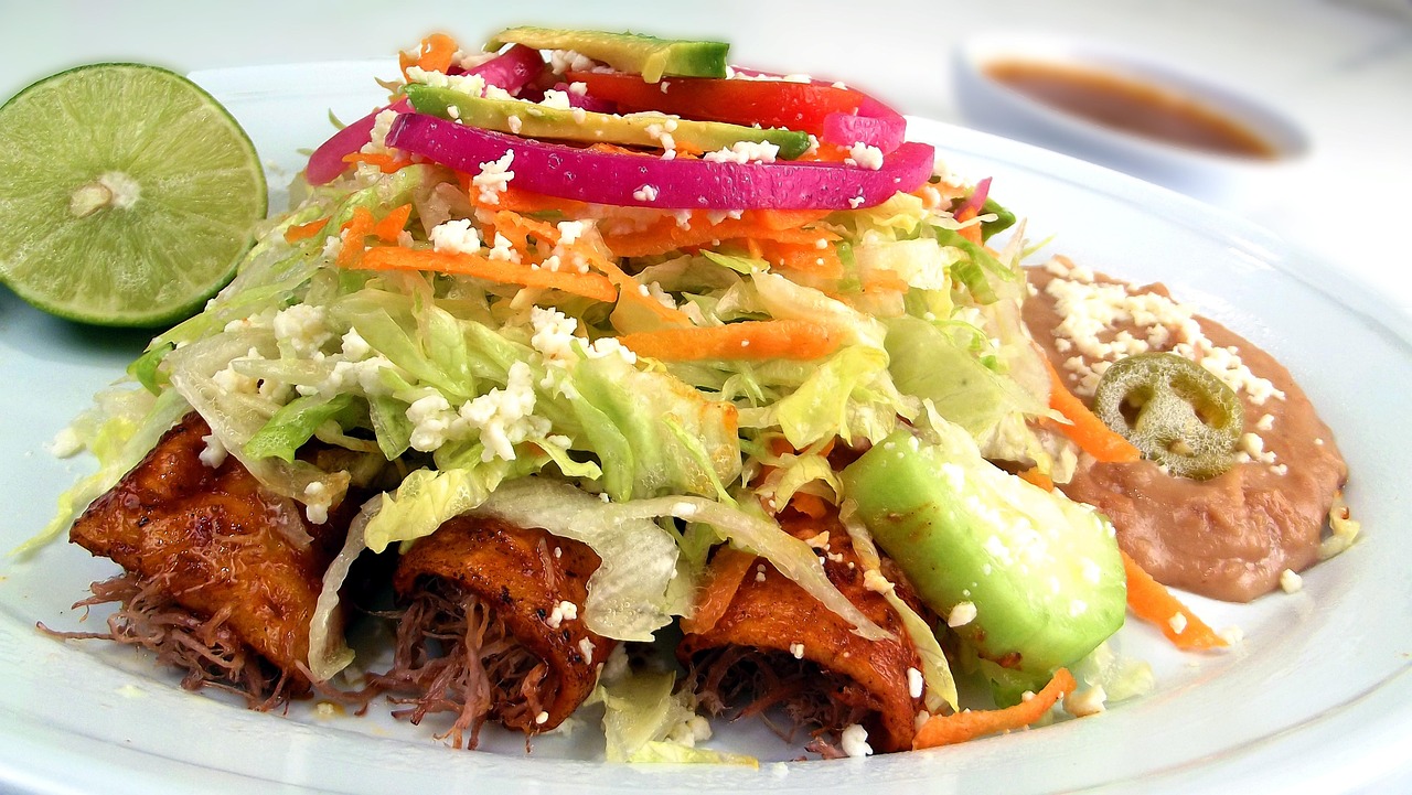 Enchiladas - The Rolled Tortilla Revolution (image credits: pixabay)