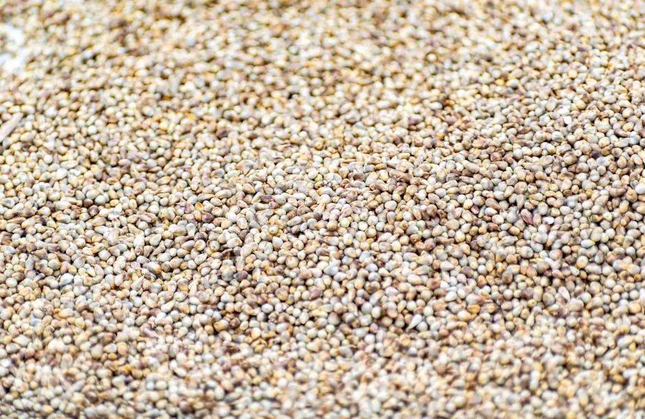 The World's Smallest Grain With the Biggest Nutritional Story (Image Credits: Pexels)