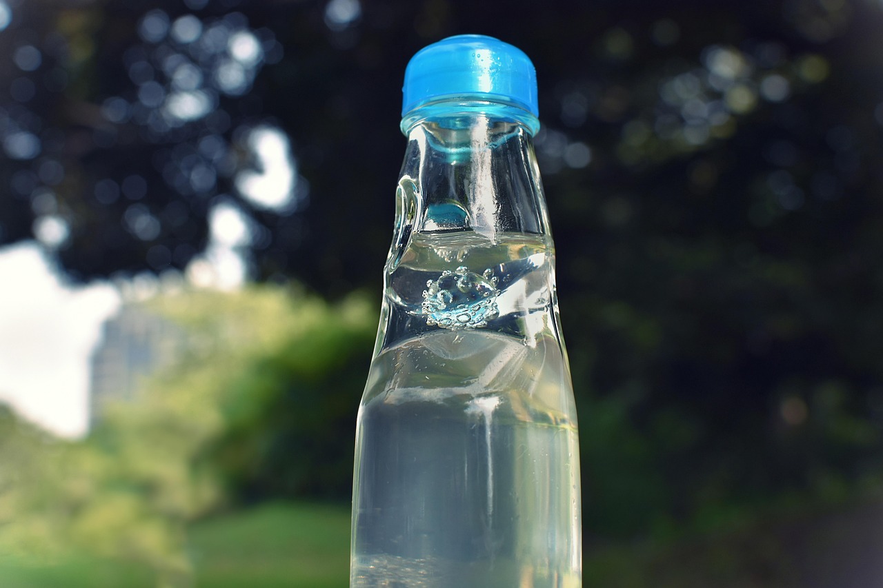 Carbonated Drinks (Like Ramune or Soda with Meals) (image credits: pixabay)