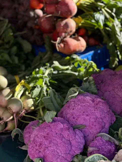 The Nutritional Case That's Convincing People to Shop the Seasons (Image Credits: Pexels)