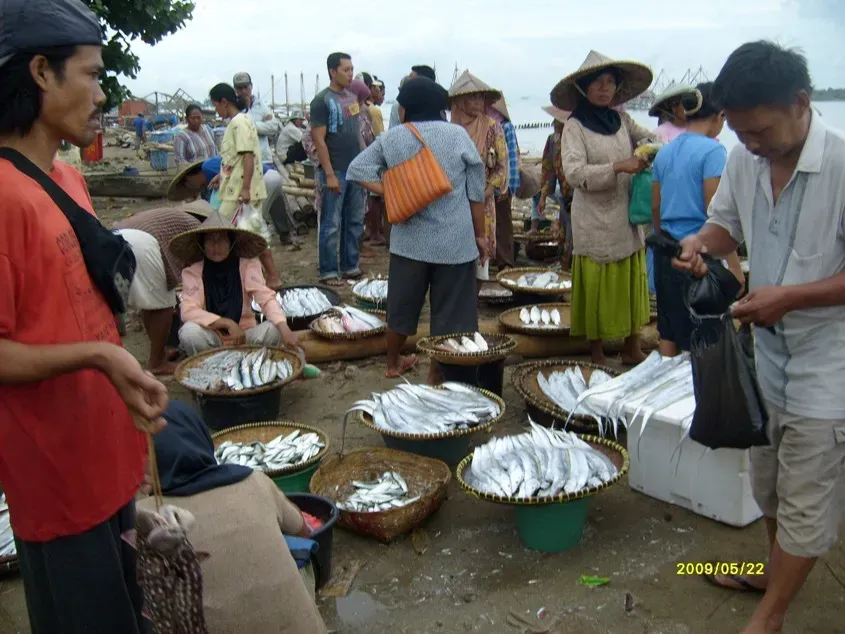 9. Fish on a Monday (By adedeh, CC BY-SA 3.0)