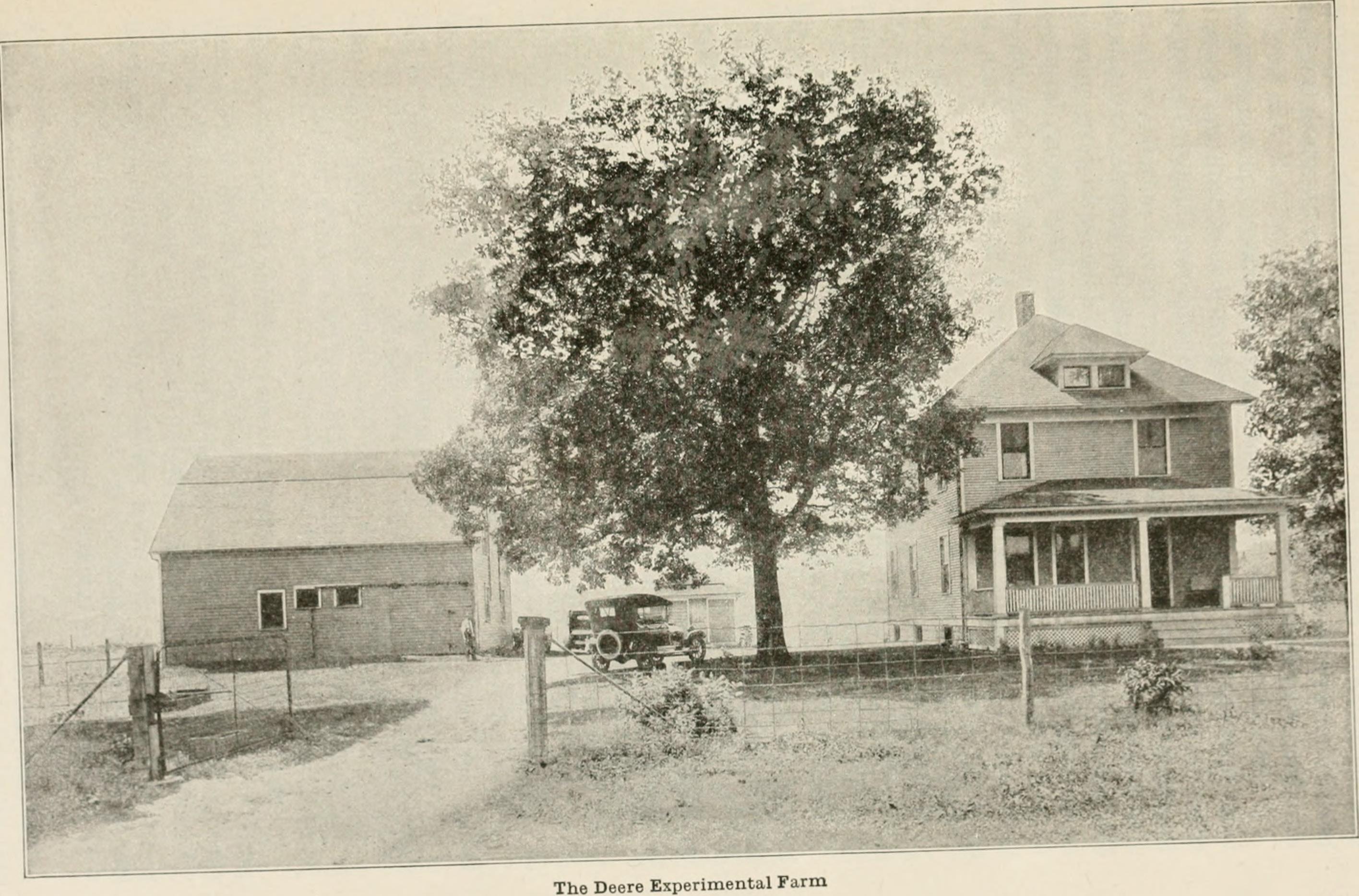 The Hidden Sodium in Everyday Foods (image credits: wikimedia)