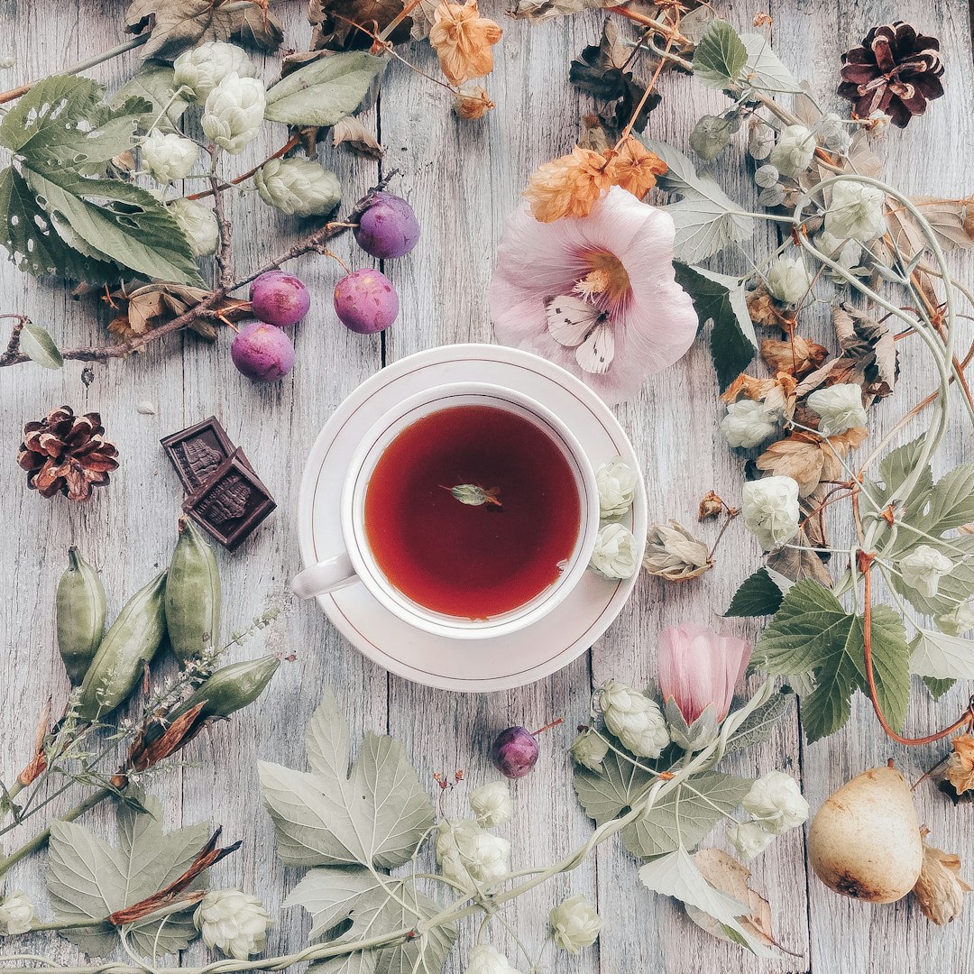 Hibiscus Tea (Nature's ACE Inhibitor) (image credits: unsplash)