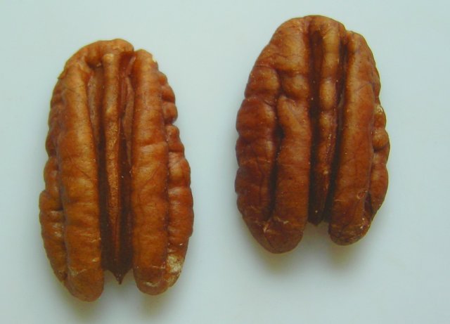 Pecans: The Antioxidant All-Star (image credits: wikimedia)