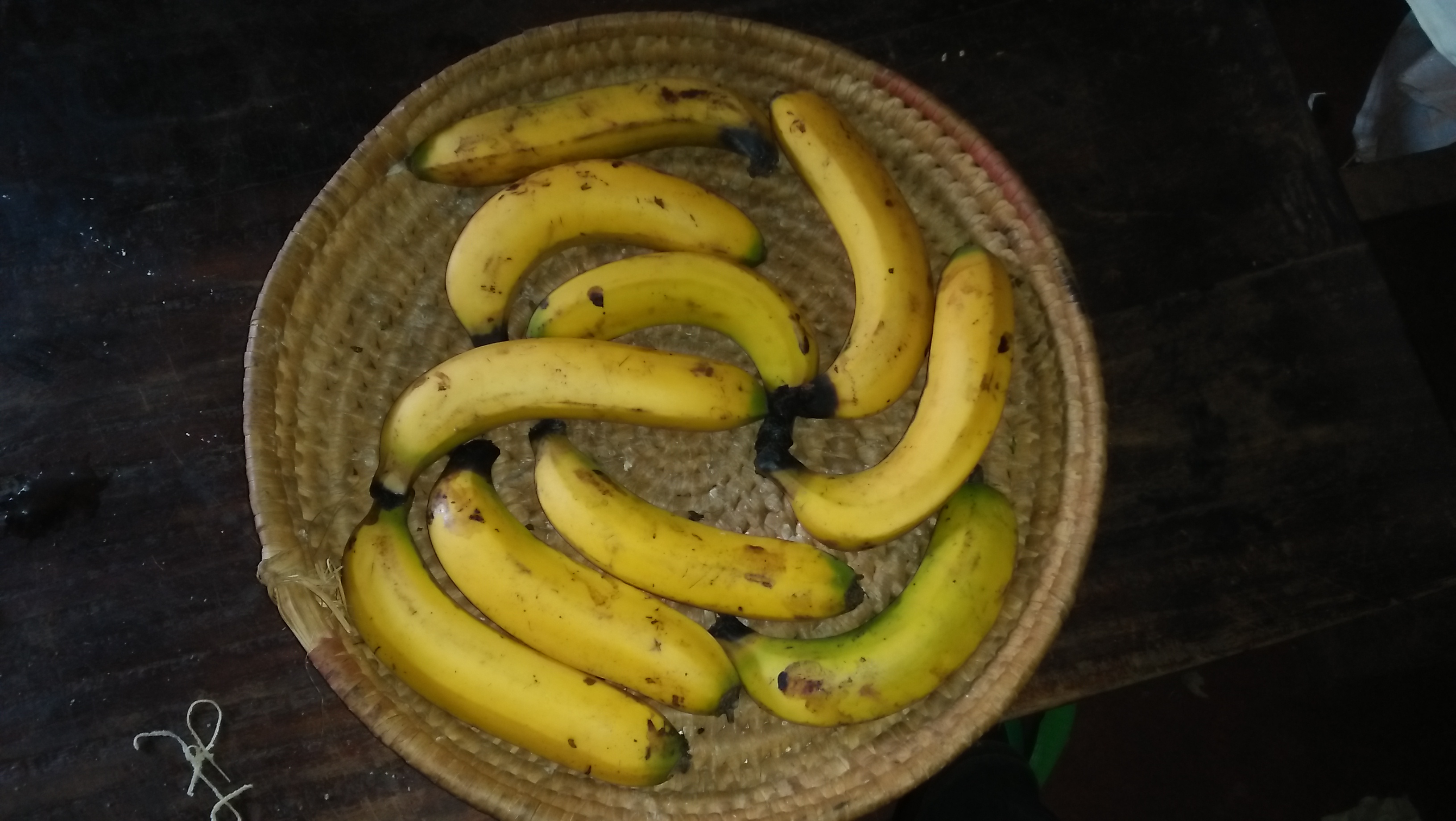 Bananas: Gentle Support for Sensitive Stomachs (image credits: wikimedia)