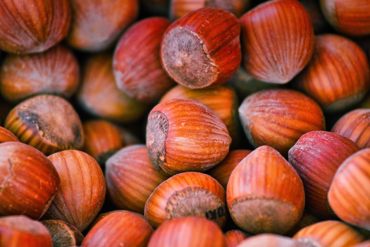 Hazelnuts: An Underappreciated Source (image credits: pixabay)