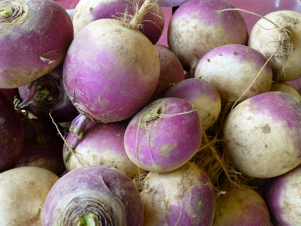 Turnips: The Underestimated Workhorses (image credits: flickr)