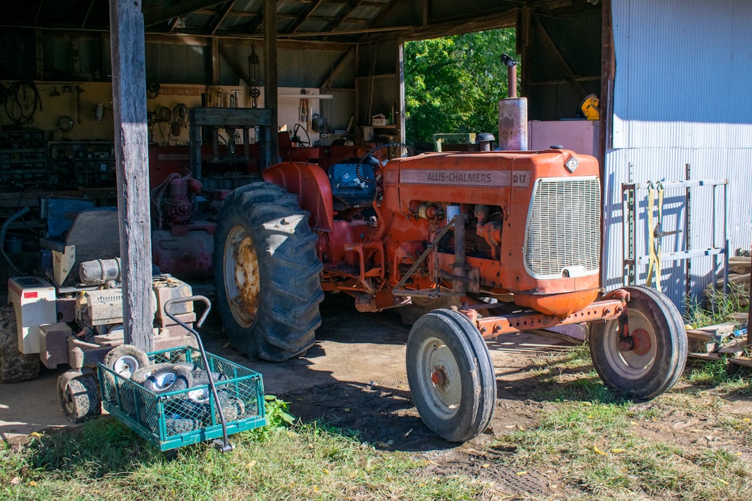 Connecticut's Pepperidge Farm - Remembering Excellence Since 1937 (image credits: unsplash)