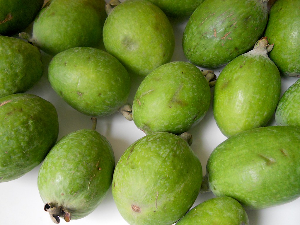 Feijoa (Pineapple Guava) - The Aromatic Marvel (image credits: flickr)