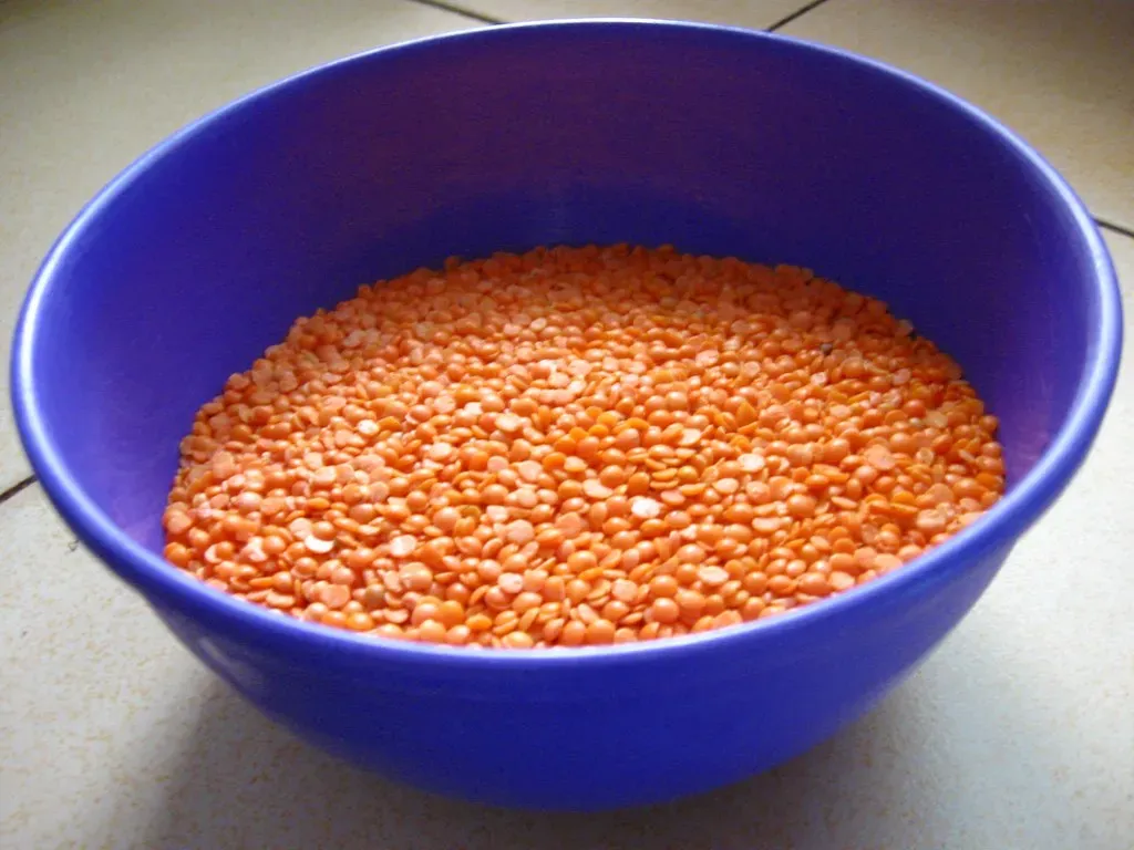 Lentils: Small but Mighty (Image Credits: Flickr)